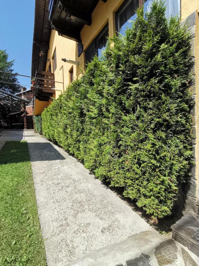 Shelby Accommodation -Adult Only- Sinaia Luaran gambar