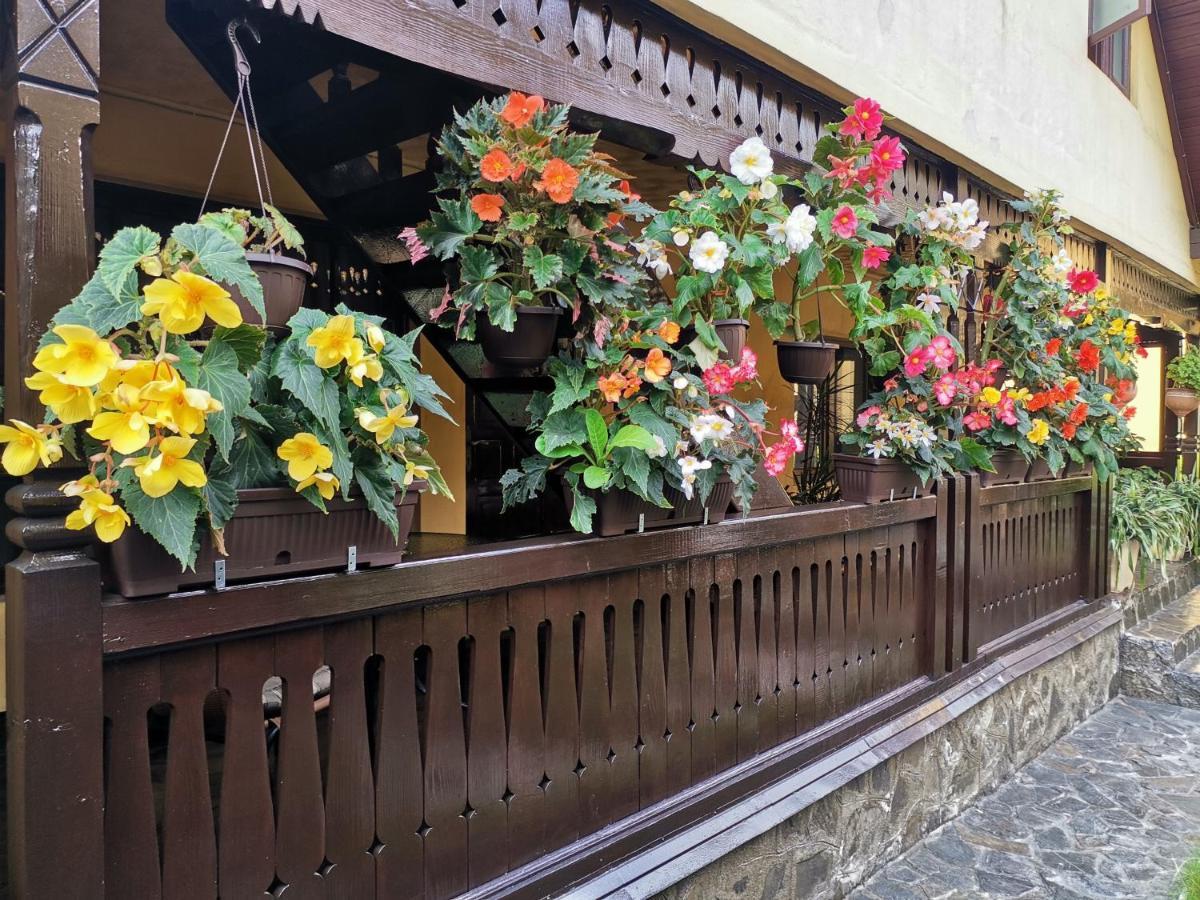 Shelby Accommodation -Adult Only- Sinaia Luaran gambar