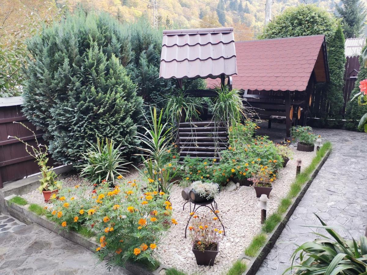 Shelby Accommodation -Adult Only- Sinaia Luaran gambar