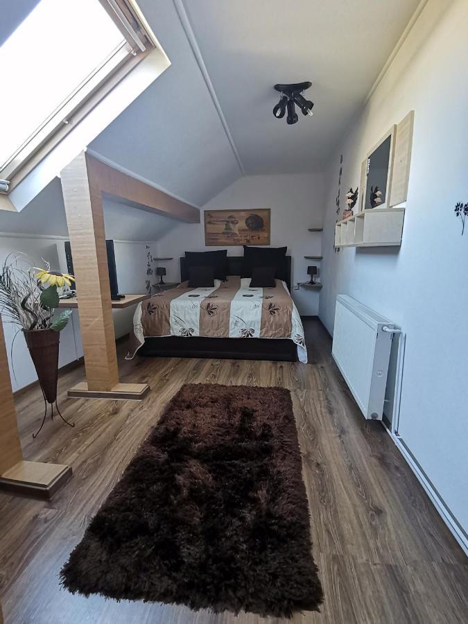 Shelby Accommodation -Adult Only- Sinaia Bilik gambar