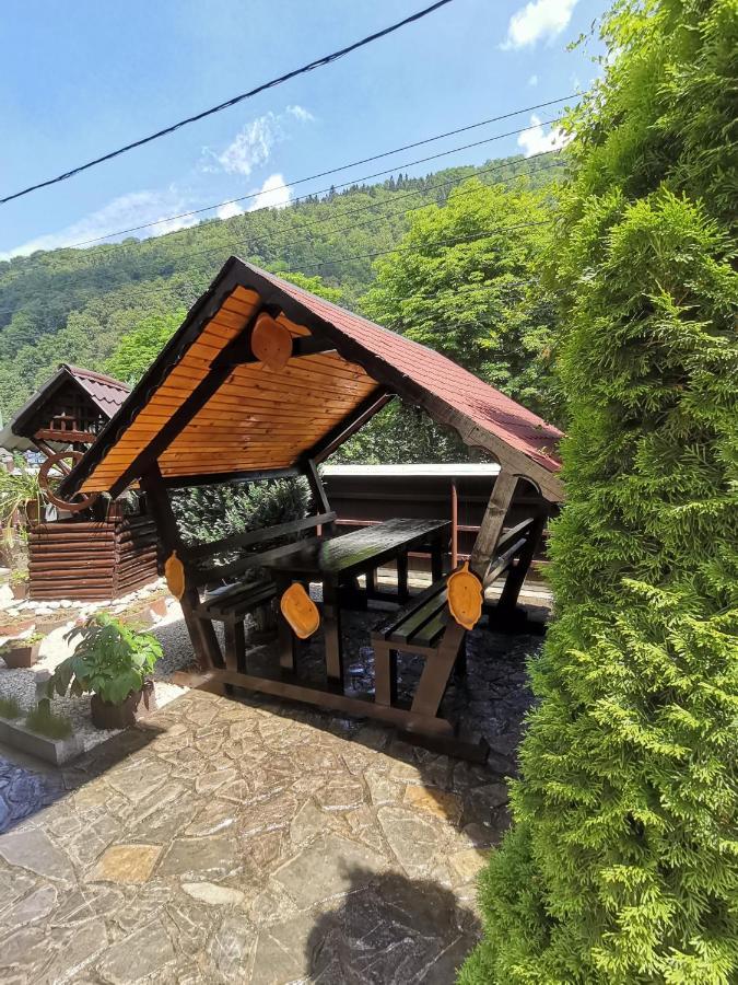 Shelby Accommodation -Adult Only- Sinaia Luaran gambar